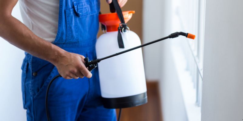 Como fazer dedetização em casa em Boa Vista