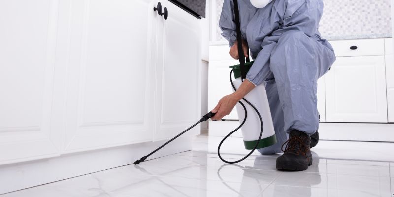 Como preparar a casa para dedetização em Boa Vista
